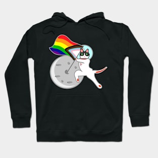 Astro Cat in the moon pride flag Hoodie